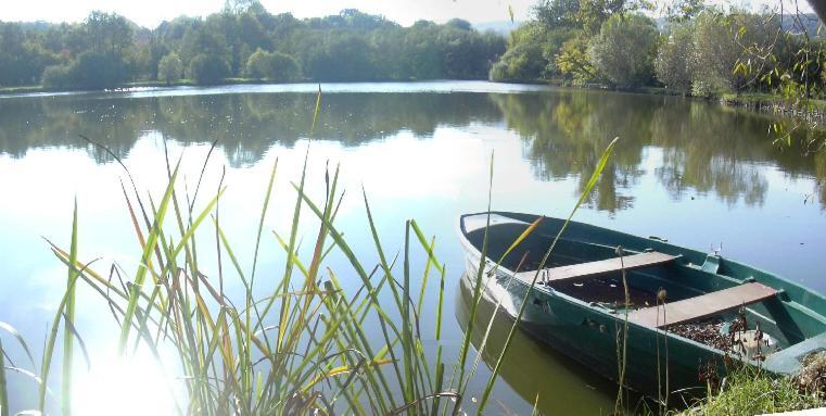 Gite De L'Etang - Parc Des Volcans D'Auvergne Loubeyrat Exterior foto